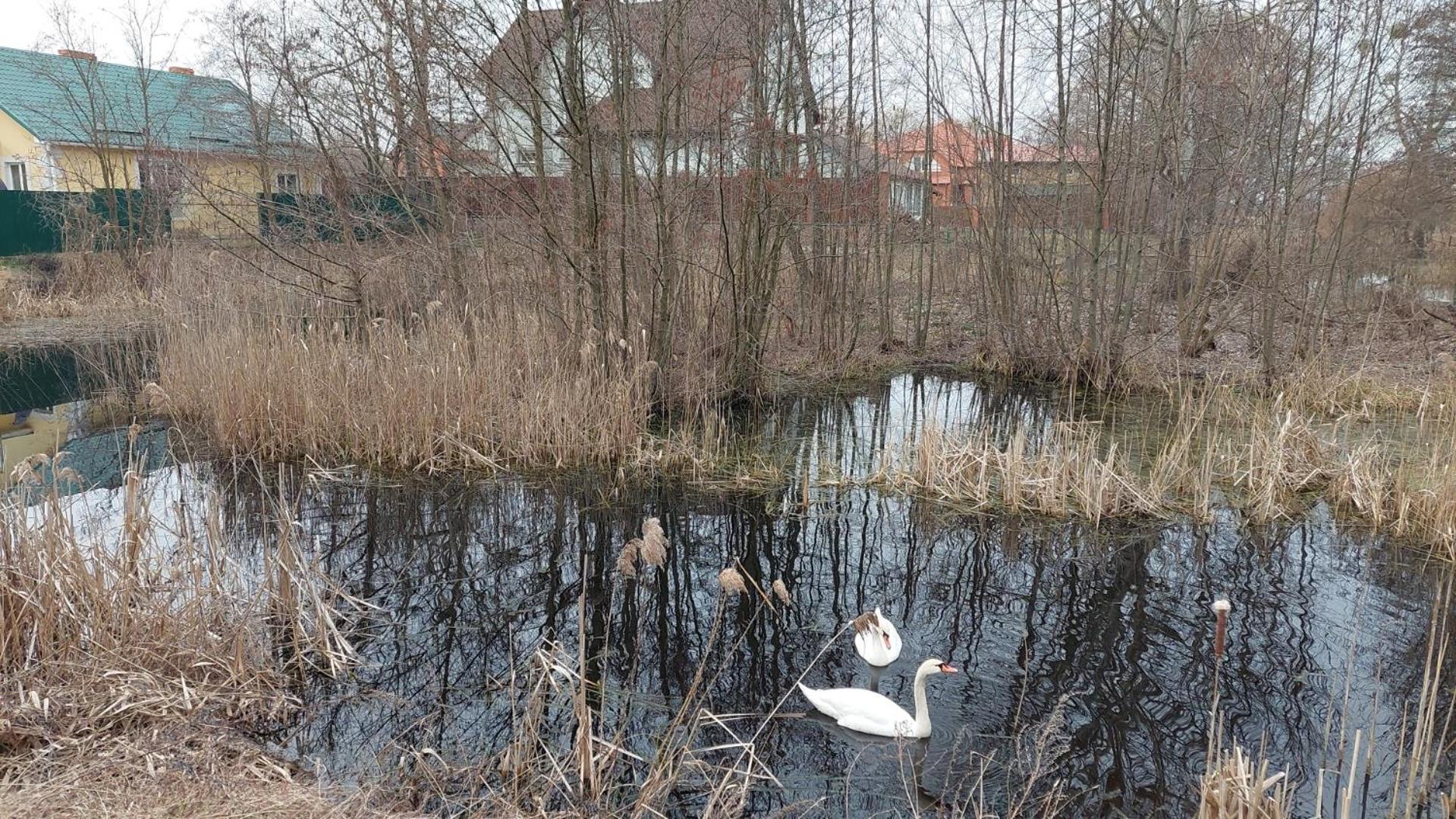 коттеджный городок чапаевка, голосеевкий район * Kyiv
