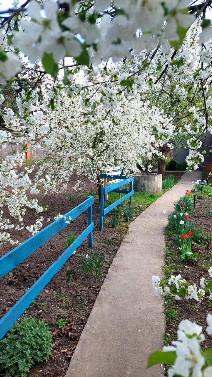 Apartment коттеджный городок чапаевка, голосеевкий район *