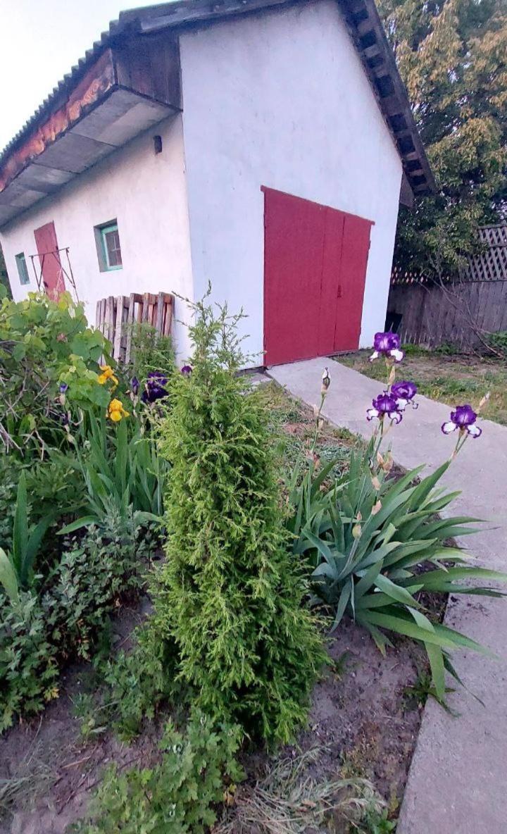 Apartment коттеджный городок чапаевка, голосеевкий район
